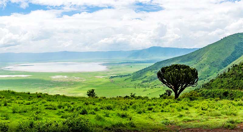 Krajina v okolí Arushy v Tanzánii s rozľahlou savanou, jazerom a osamelým stromom na svahu