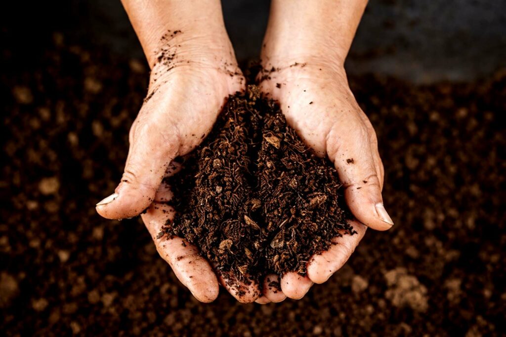 Kompost je revolúcia