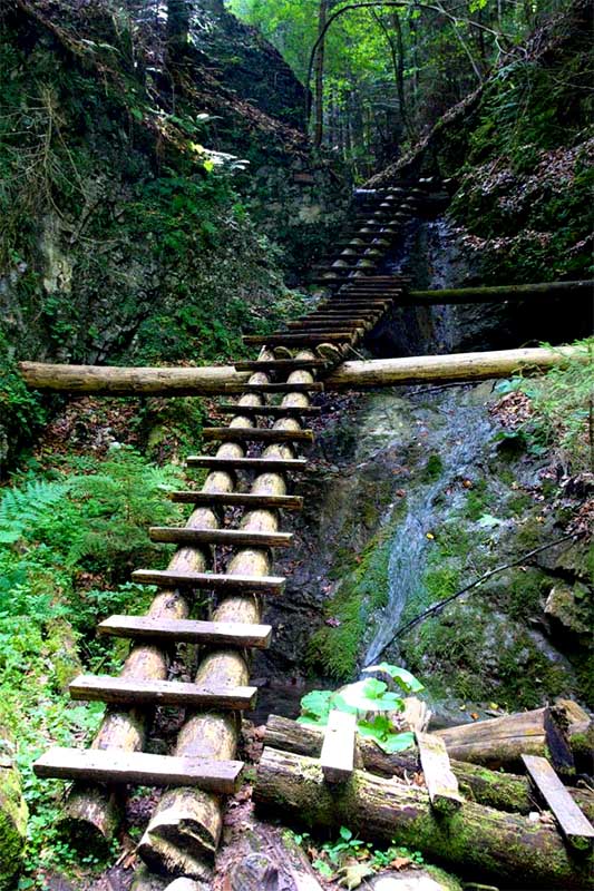 Turistický rebrík z guľatiny v tiesňave Kysel, Slovenský raj