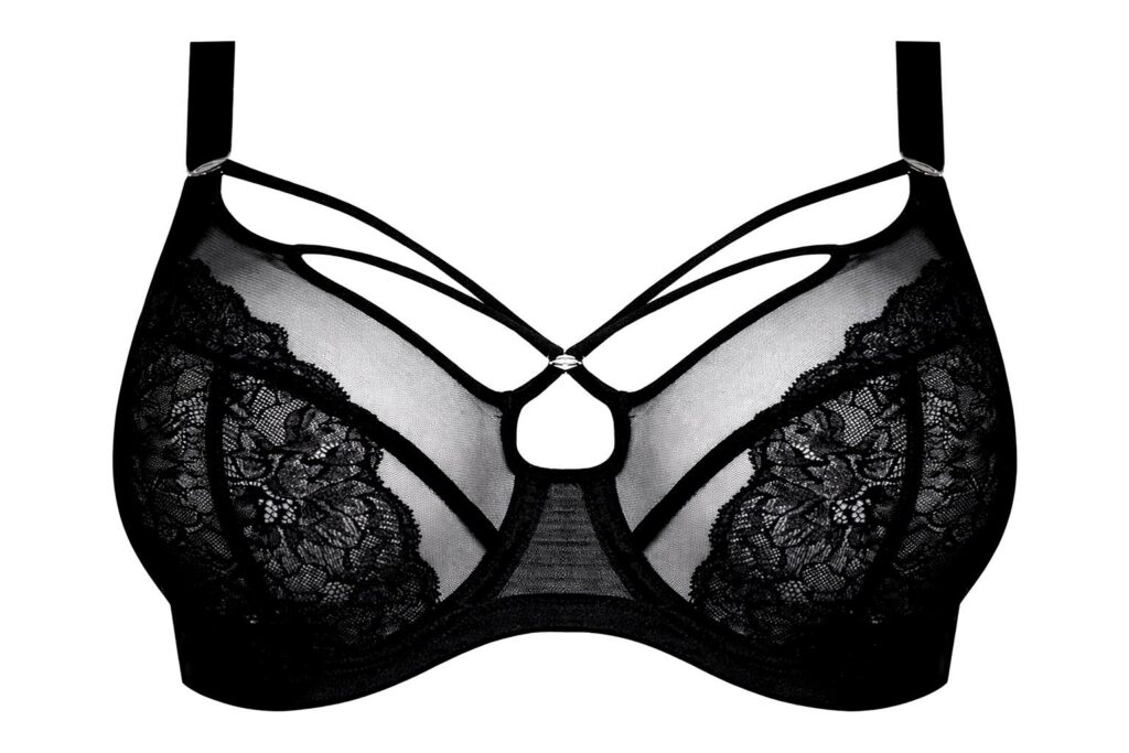 Podprsenková evolúcia