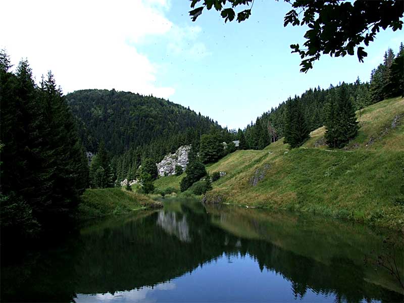 Pokojná vodná plocha v Stratenej doline obklopená lesmi Slovenského raja