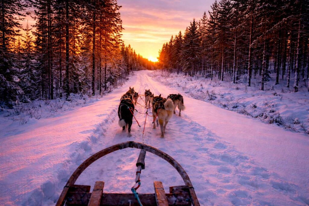 Šediváčkův long: Volanie hôr