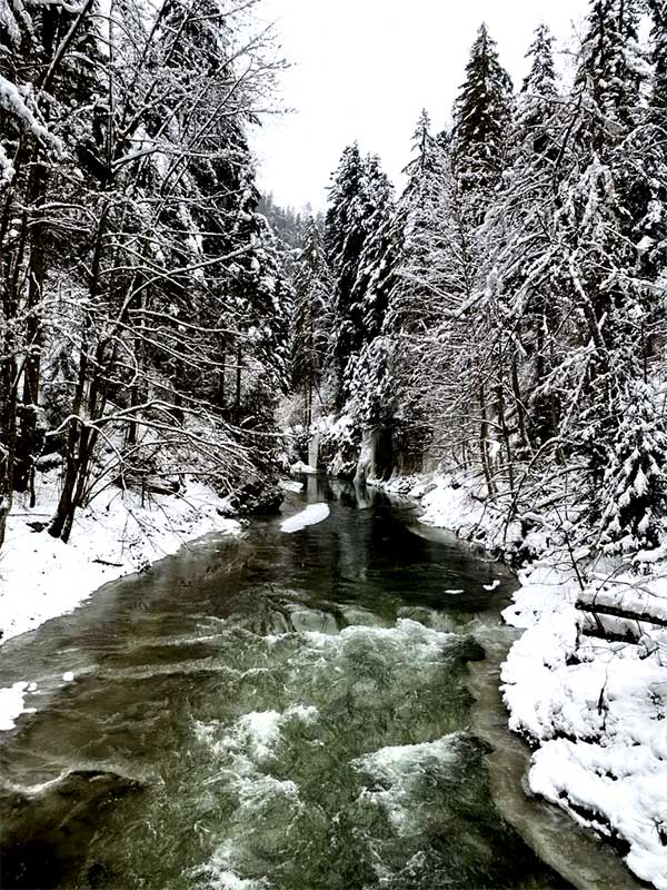 Zimná rieka obklopená zasneženým lesom v Slovenskom raji