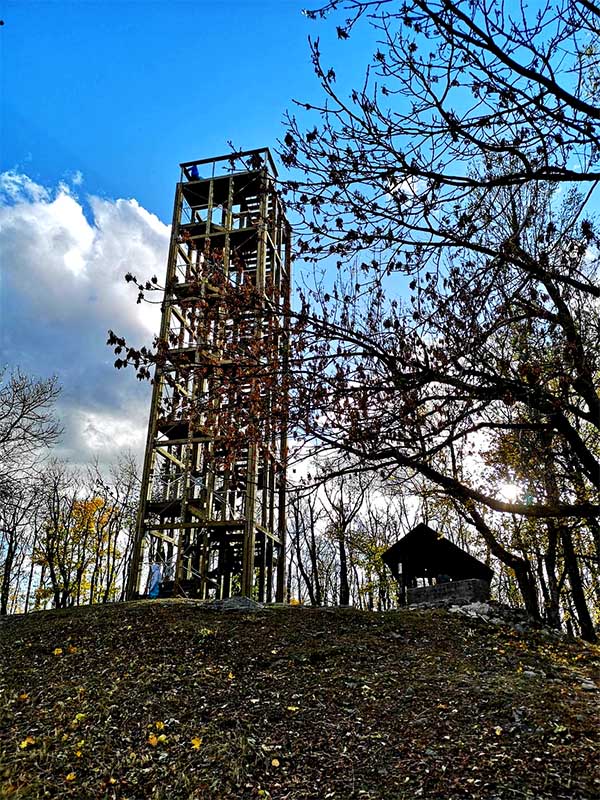 Rozhľadňa Veľká Homoľa Malé Karpaty drevená rozhľadňa v lese s vyhliadkovou vežou