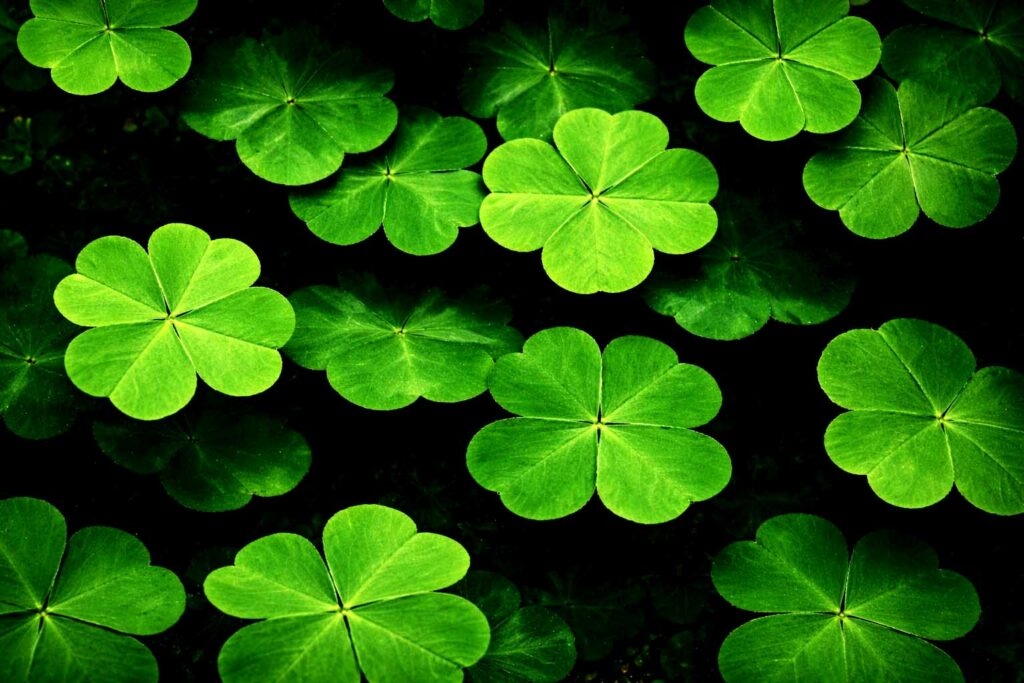 Tajomstvo skutočného šťastia